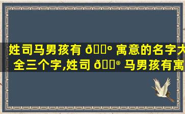 姓司马男孩有 🐺 寓意的名字大全三个字,姓司 💮 马男孩有寓意的名字大全三个字女孩